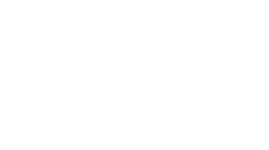 wildflower experience logo white